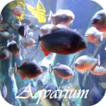 aquarium android application logo